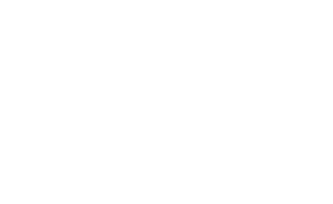 ZYCLE