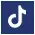 TikTok-icon-img